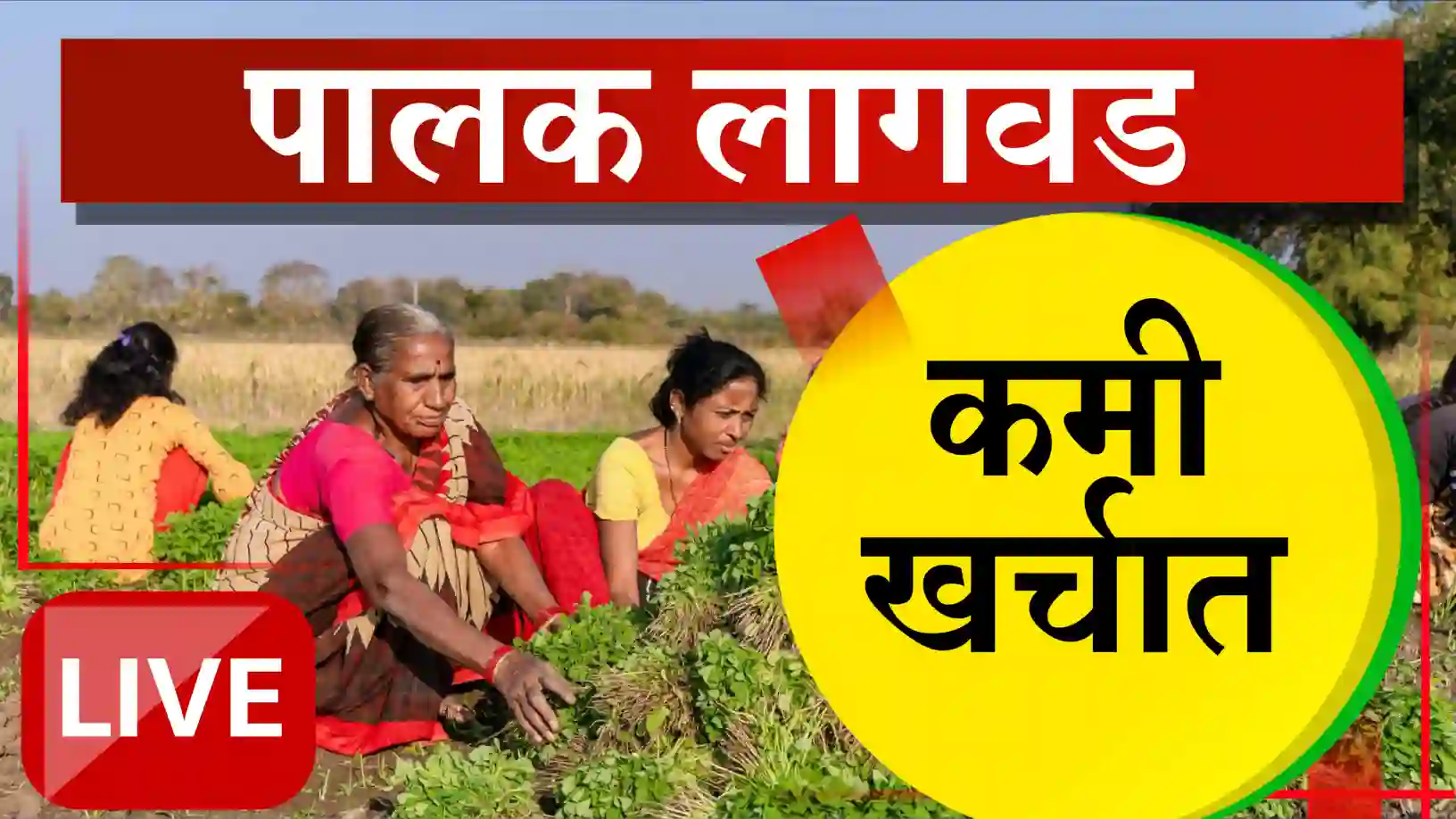 पालक लागवड