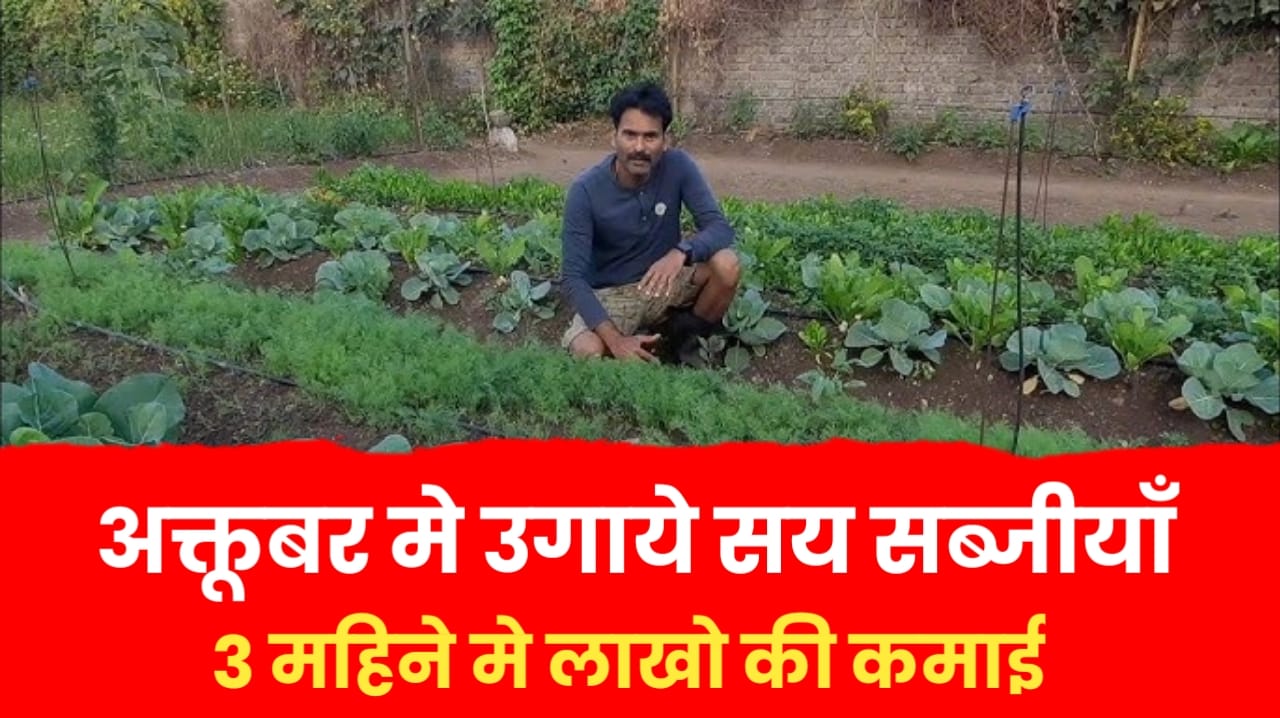 अक्टूबर के महीने